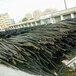 濱州（回收鋁芯廢電纜）/濱州廢舊電線回收附近哪里有