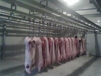 右江区猪肉鸡肉保鲜库冷藏库厂家建设图片3