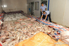 右江区猪肉鸡肉保鲜库冷藏库厂家建设图片2
