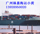 合肥到揭阳海运运输公司图片