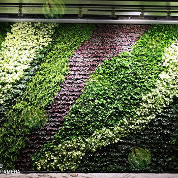 绿大师广州植物墙