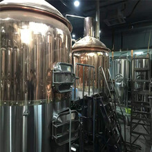 啤酒设备机价格日产500升小型精酿啤酒设备厂家