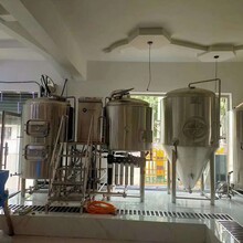 年产2000吨的啤酒设备啤酒设备供应厂家精酿啤酒设备多少钱