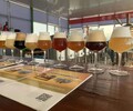 德國精釀酒吧啤酒設備機器啤酒機器生產廠家