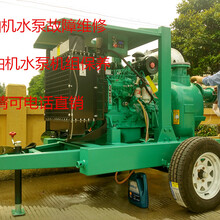 安徽六安市柴油机水泵专业维修机组长期保养