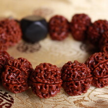 金剛菩提子真?zhèn)舞b別廈門哪里有鑒定機(jī)構(gòu)