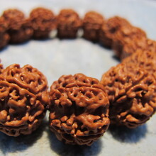 金剛菩提子真?zhèn)舞b別金剛菩提手串廈門哪里有鑒定機(jī)構(gòu)