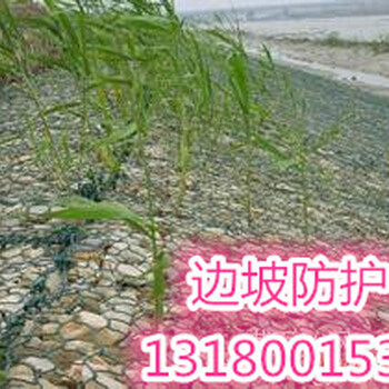 石籠網(wǎng)護(hù)坡&生態(tài)石籠網(wǎng)鉛絲石籠堤防工程&洪水防護(hù)措施