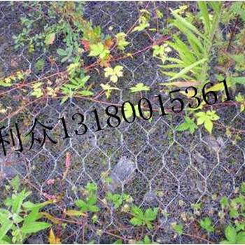 生態(tài)覆塑pvc加筋麥克墊&植草護坡加筋麥克墊
