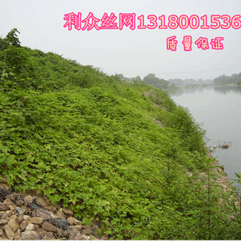 暴雨防洪固濱籠&水利護(hù)坡固濱石籠固堤&防水土流失固濱籠治理