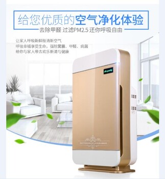 美如畫除霧霾甲醛空氣凈化器OEMODM定制生產廠家