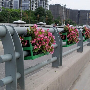 台州桥梁护栏生产厂家