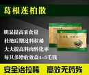 肉禽专用提料长肉治疗过料促饲料转化降料比中药——葛根连柏散