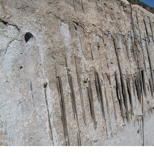 长沙预应力砼工程师裂缝修复灌浆,混凝土裂缝灌浆