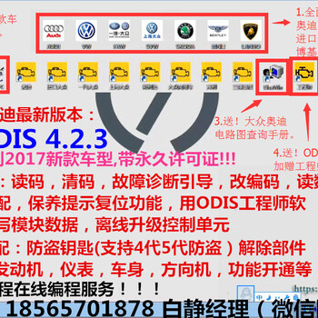 供应正版大众奥迪ODIS423检测软件带ODIS工程师送ELSA