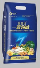 通用型杀虫杀菌药肥/一管到底/厂家供应批发价图片