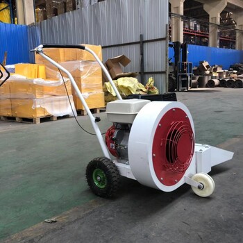 用于水泥路面清掃的機器手推式路面吹風(fēng)機汽油吹風(fēng)機