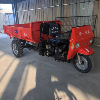 養(yǎng)殖場運輸車煤場拉灰車礦區(qū)三輪車