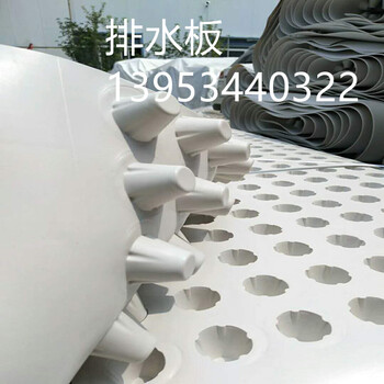 凸高3公分白色塑料排水板厂家直供