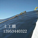 南京2.0mm調(diào)節(jié)池土工膜推廣與使用