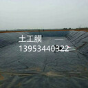 海東污水處理調(diào)節(jié)池土工膜鋪設(shè)及施工