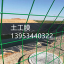 景德鎮(zhèn)污水調(diào)節(jié)池土工膜調(diào)節(jié)池浮蓋土工膜推廣與使用