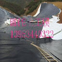 長春垃圾填埋場滲濾液調(diào)節(jié)池HDPE土工膜規(guī)格