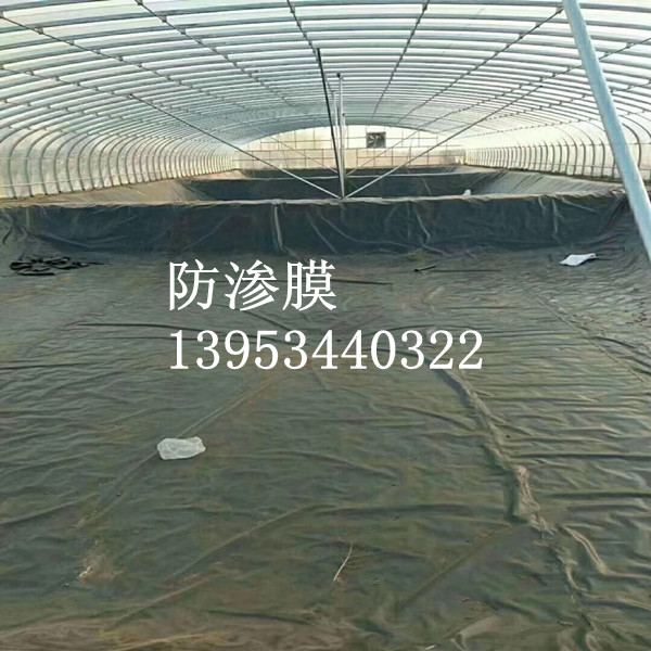 阜阳甲鱼养殖1.0mm厚hdpe防渗膜价格由什么决定