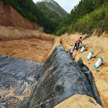 山东印染厂污水池防渗土工膜