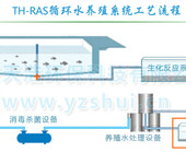 循环水养殖水处理_工厂化循环水养殖系统