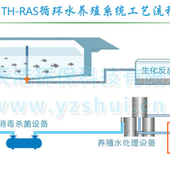 循环水养殖水处理_工厂化循环水养殖系统