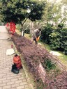 重慶渝北化糞池清理、清掏、疏通、抽糞、吸污、修復(fù)、補(bǔ)漏