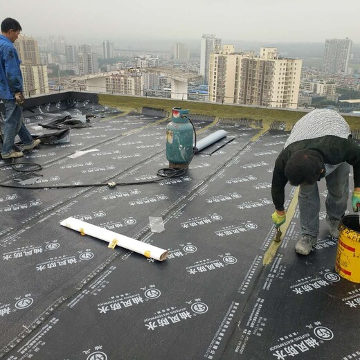 重庆屋面防水补漏涂料粉刷外墙修补
