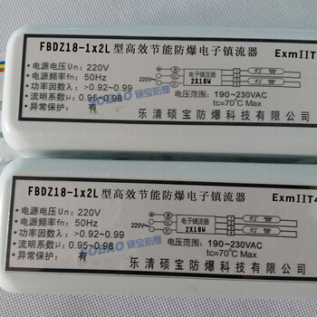 FBDZ20-1X2L型节能荧光灯防爆电子镇流器