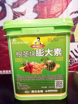 土豆洋葱根茎块膨大素根系发达预防姜瘟病枯萎病