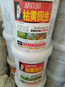 番茄防治枯萎病黃萎病青枯死苗爛棵用枯黃回生殺菌劑
