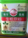 大棚蔬菜弱苗生长慢用生根原粉强力生根壮苗，生根粉增强根系活力