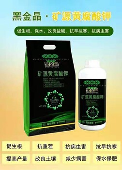 芒果需肥特點(diǎn)，海南芒果用什么肥，芒果施肥方法