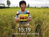 水稻高产叶面肥套餐防病效果好的水稻增产套餐