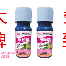 挑战王授粉精昆仑座果王升级二代新配方图片
