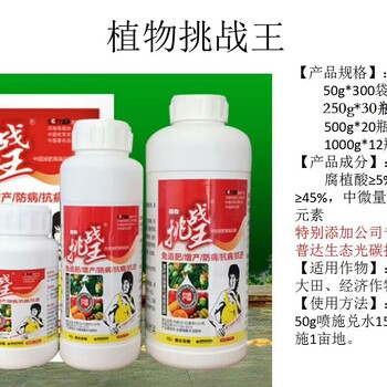 光碳核肥厂家昆仑生物植物挑战王