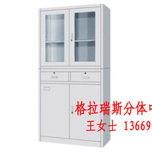 西安格拉瑞斯文件柜規(guī)格檔案柜現(xiàn)貨批發(fā)