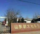 可再分散乳胶粉的市场价格图片