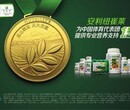 重庆市江北哪里有安利产品销售重庆市安利直营店详细地址位置