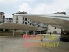安庆迎江区膜结构车棚厂家膜结构汽车停车棚自行车棚