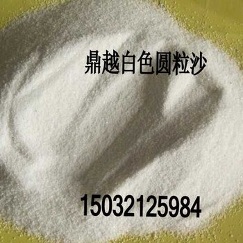 园林绿化用的白沙子草坪景观装饰用的细白沙游泳池用的雪花白白沙子大型游乐场白沙子厂家