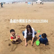 儿童沙池海砂沙滩娱乐海砂干净无尘水洗圆粒海砂