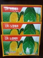 韩国白菜种子CR黄心