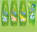 广州焱盛日化公司专业生产各种品牌日化海飞丝洗发水沐浴露图片