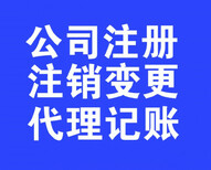 东莞凤岗公司注册本地优选财税机构图片1